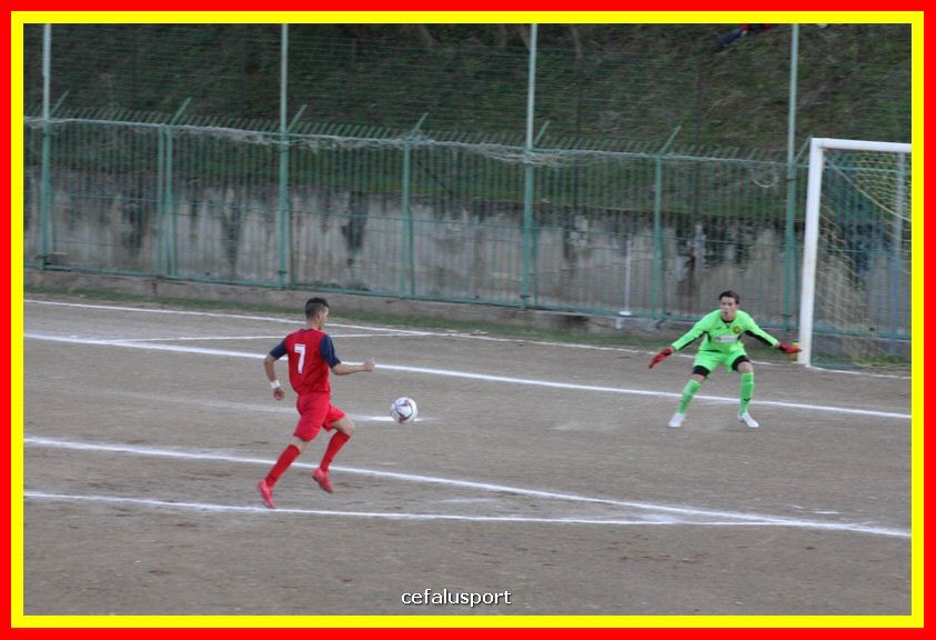 181111 Cepha_Milazzo 094_tn.JPG